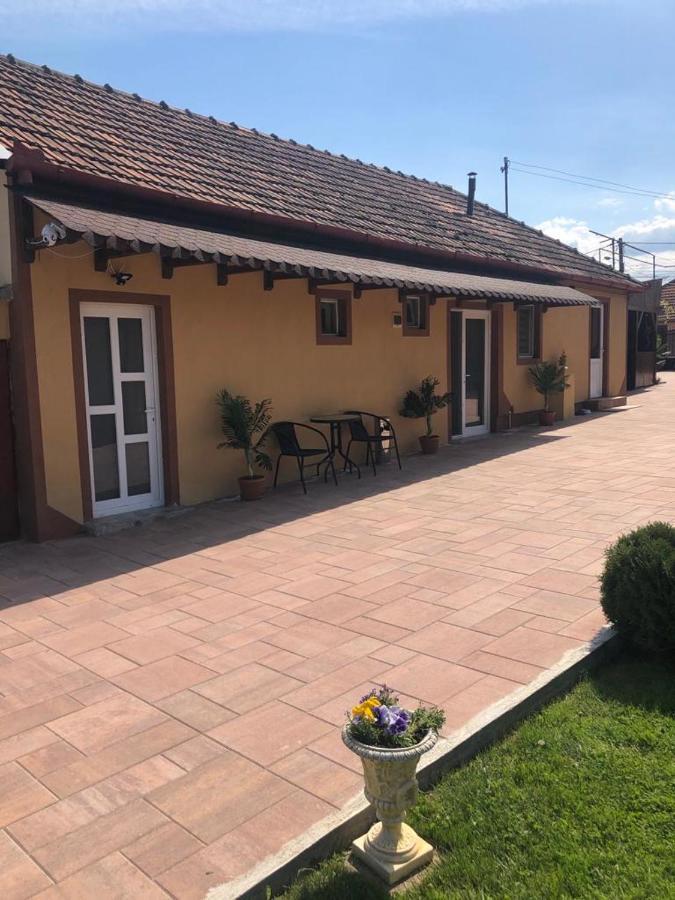 Hotel Casa Alexia Haţeg Exterior foto